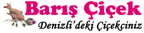 Barış Çiçekçilik | Denizli Çiçekçi - Denizlideki Çiçekçiniz