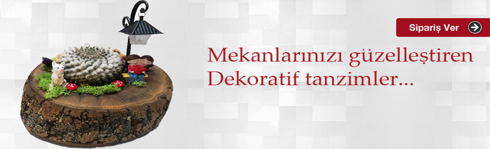 kütük